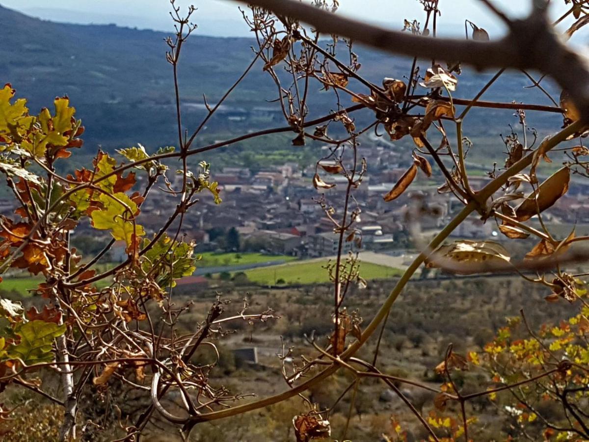 Il Vicoletto Bed & Breakfast Frascineto Exterior foto